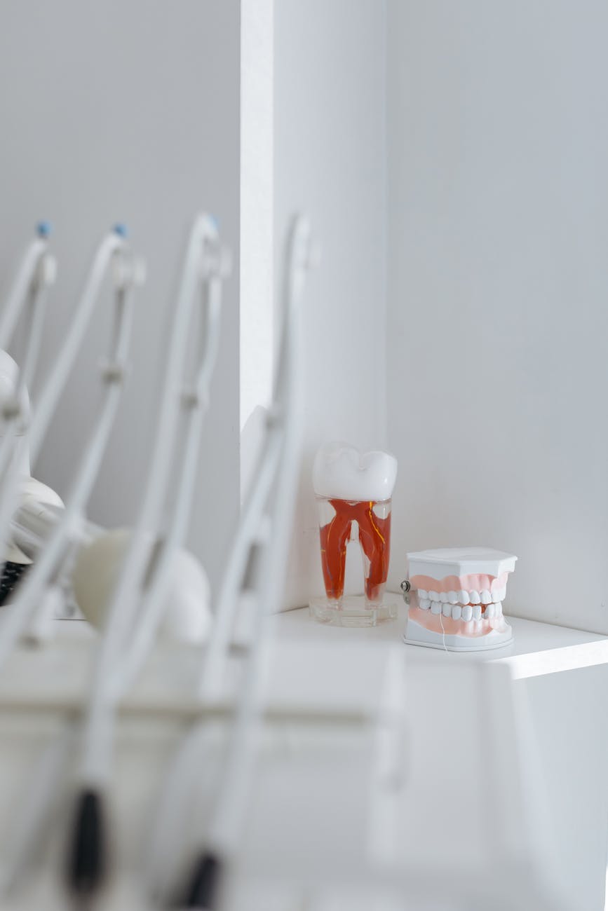 dental model on white table